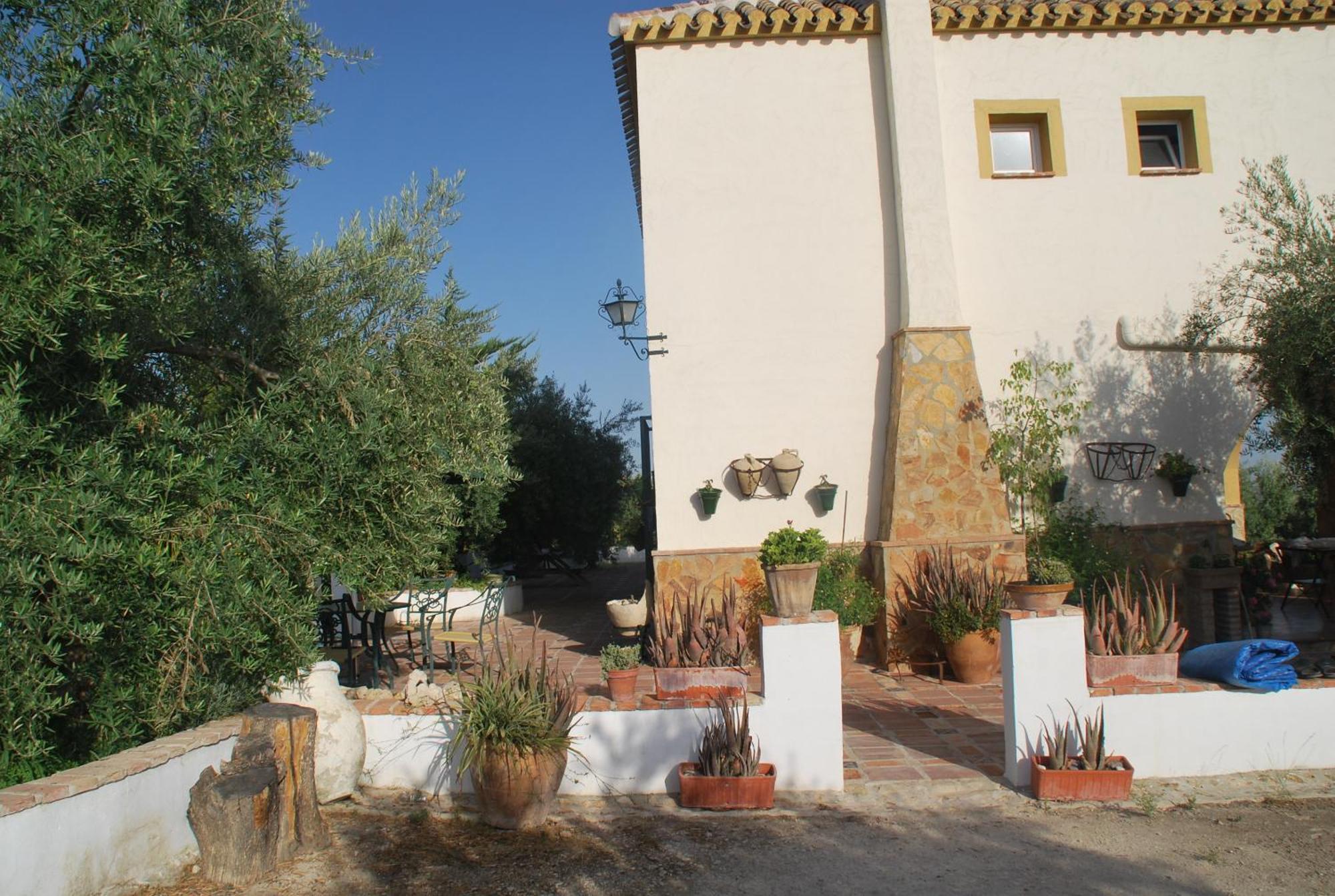 Agroturismo Ecologico El Cortijillo 루크 외부 사진