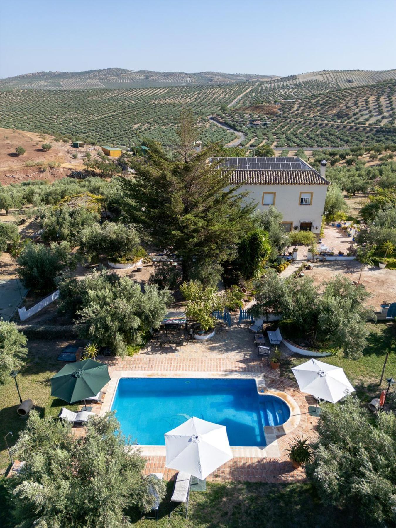 Agroturismo Ecologico El Cortijillo 루크 외부 사진