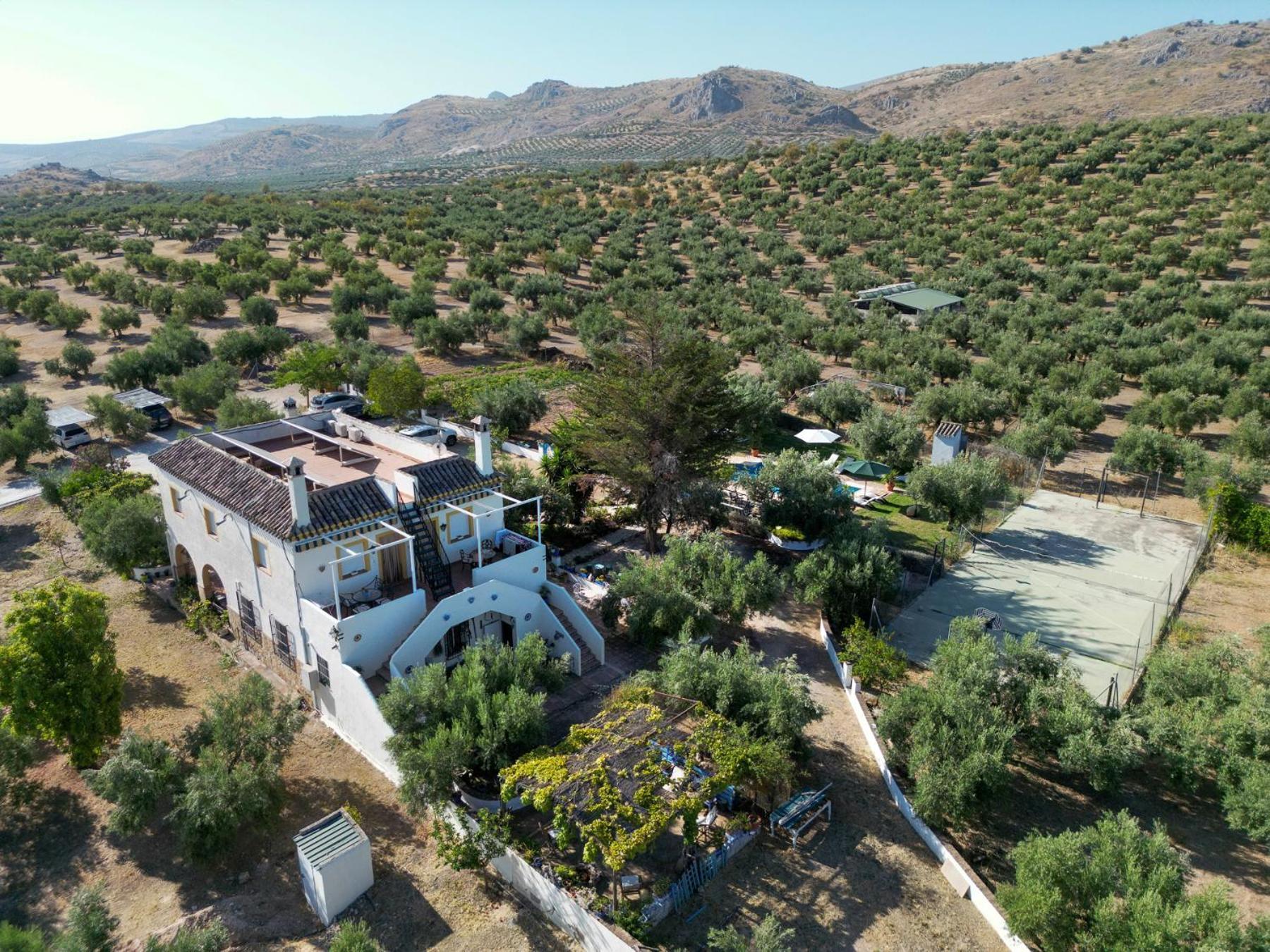 Agroturismo Ecologico El Cortijillo 루크 외부 사진