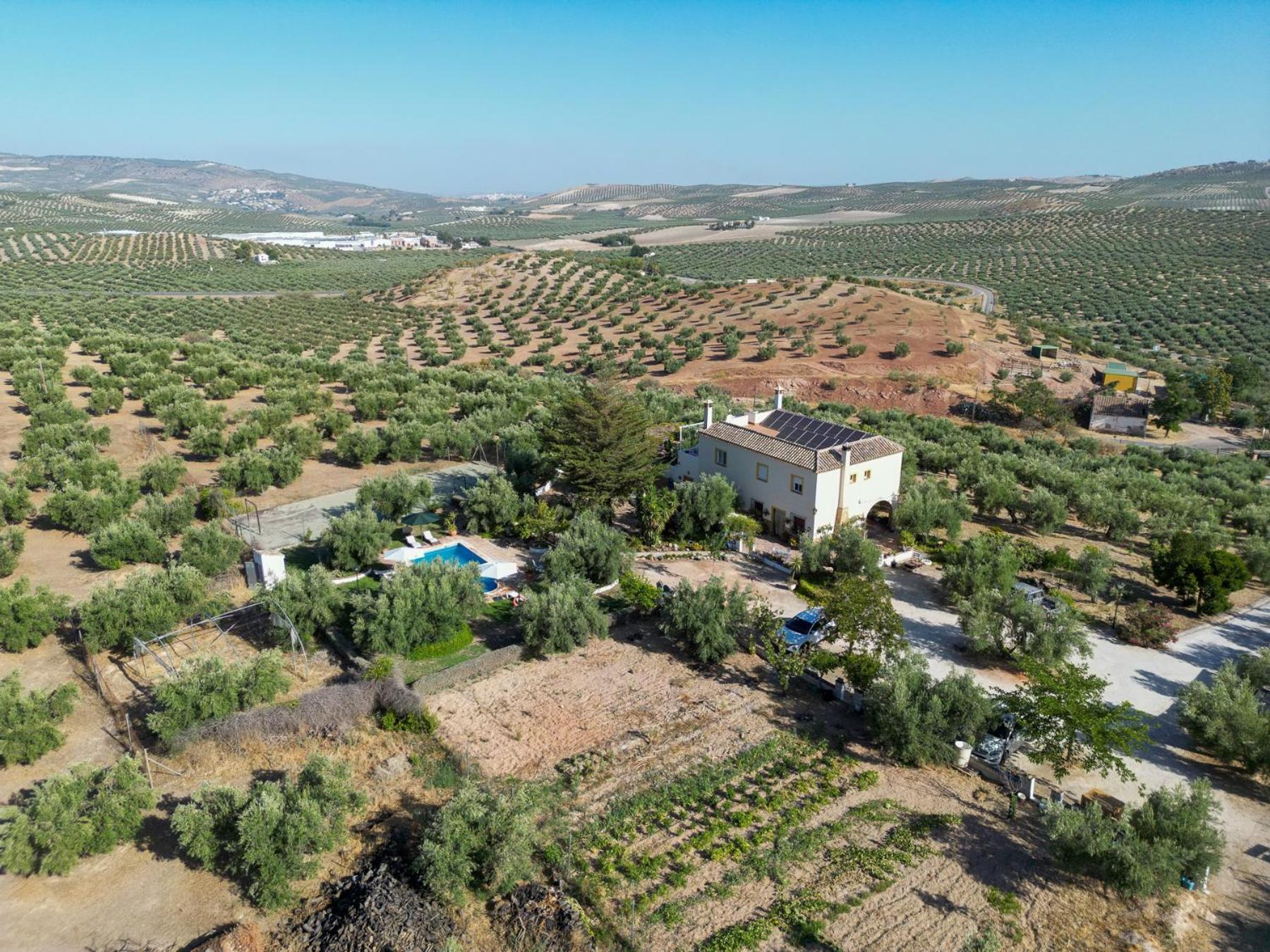 Agroturismo Ecologico El Cortijillo 루크 외부 사진
