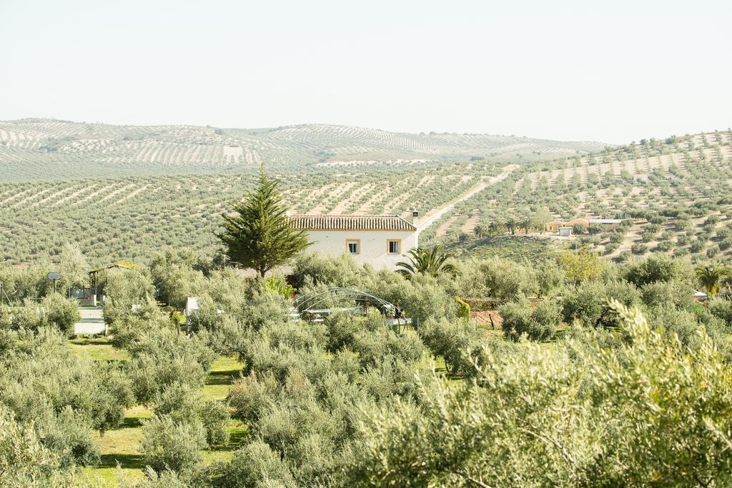 Agroturismo Ecologico El Cortijillo 루크 외부 사진