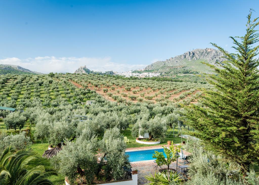 Agroturismo Ecologico El Cortijillo 루크 외부 사진