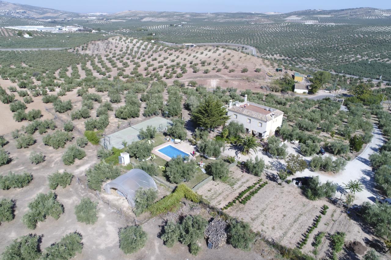 Agroturismo Ecologico El Cortijillo 루크 외부 사진